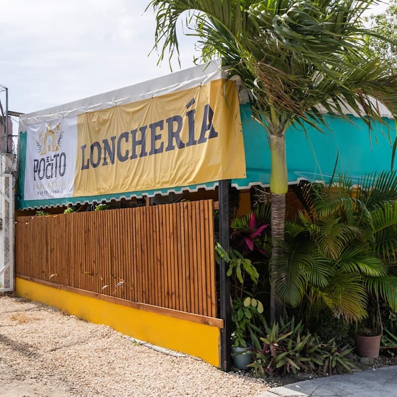 Cancún Jungle Thrills, Night Markets, and Ocean Light