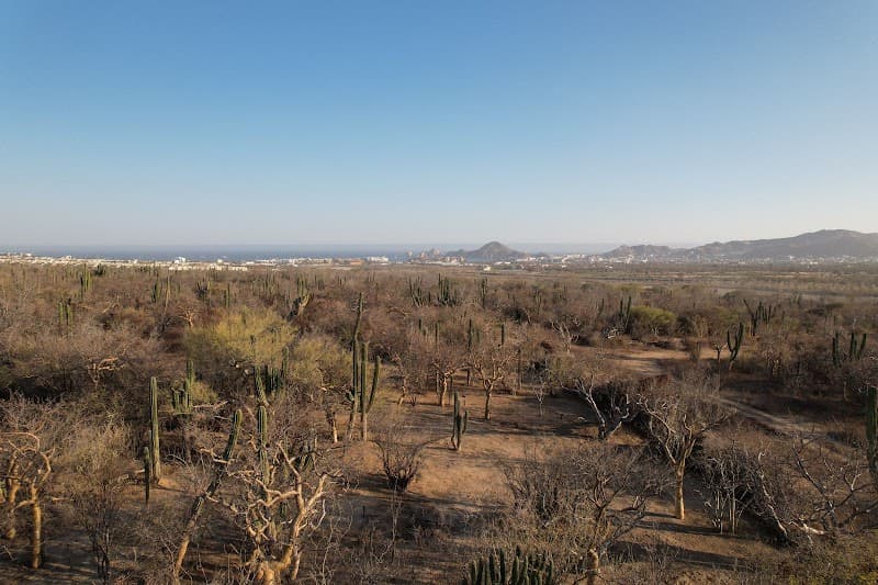 El Tezal Neighborhood Exploration