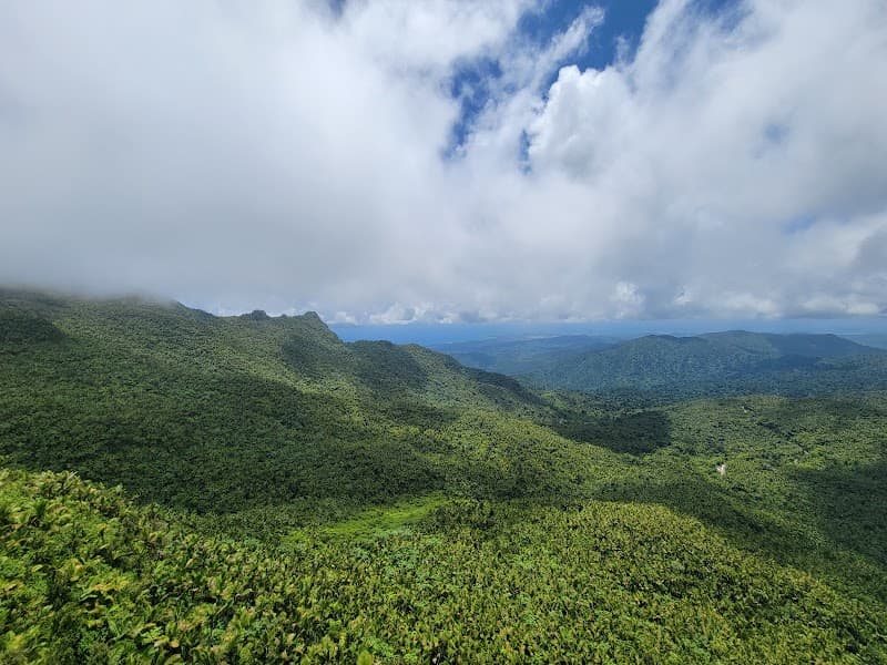El Yunque National Forest