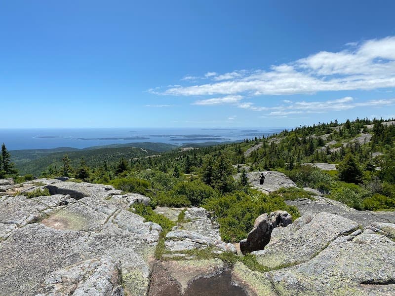 Elite Acadia Tour