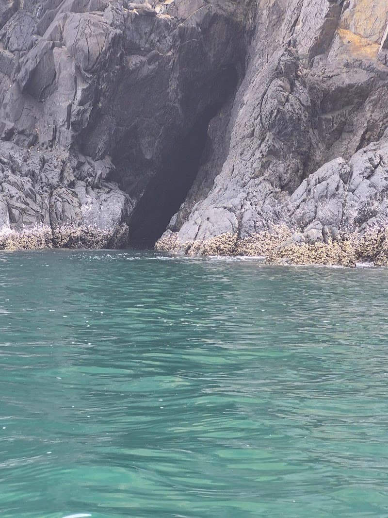 Emerald Cave Swim