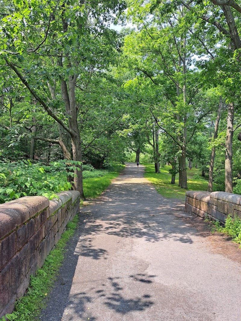 Emerald Necklace Walk (Back Bay Fens Section)
