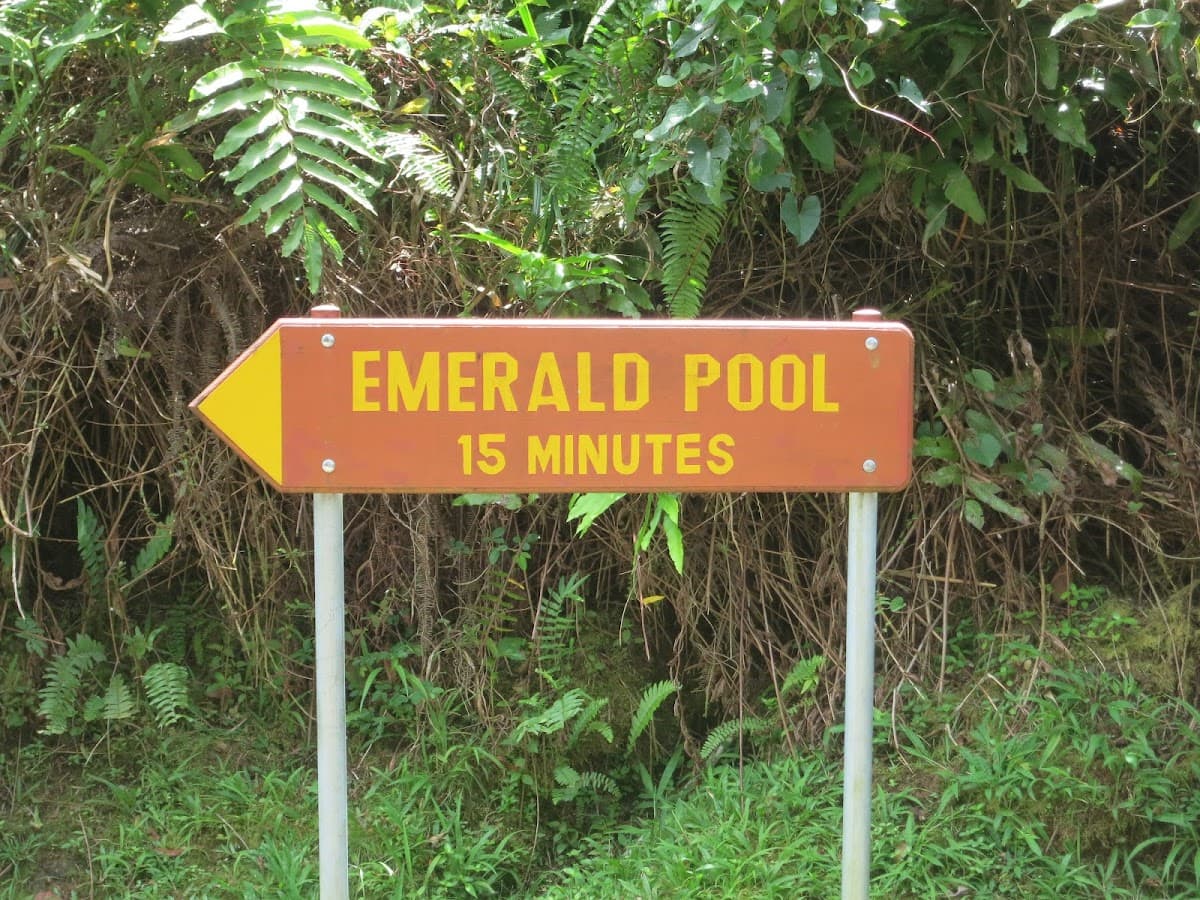 Emerald Pool Swim