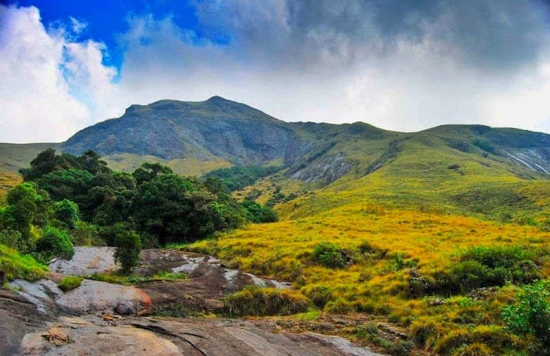 Eravikulam National Park (Rajamalai)