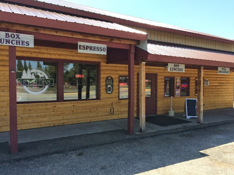 Yellowstone West Entrance: Geysers, Wildlife, and Easy Wild Escapes