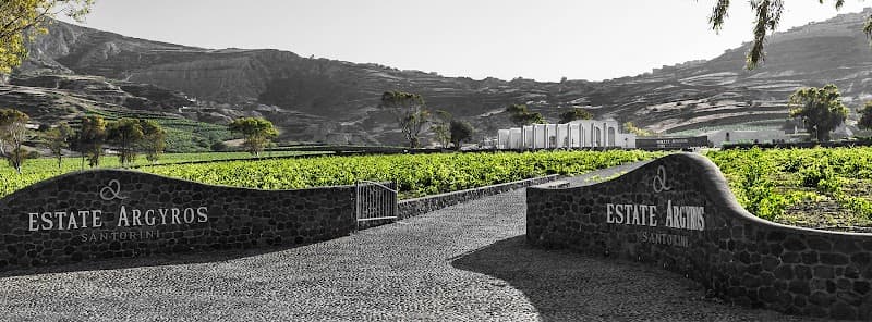 Estate Argyros