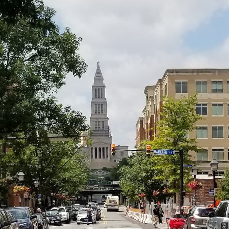 Evening Return & Short Old Town Walk