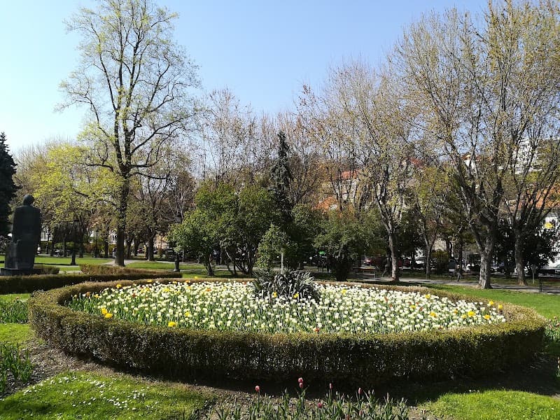 Evening Stroll Around Nicolae Titulescu Park