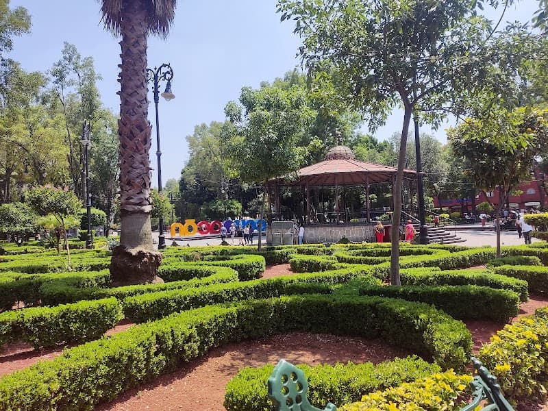 Evening Walk and Dessert in Coyoacán Plaza