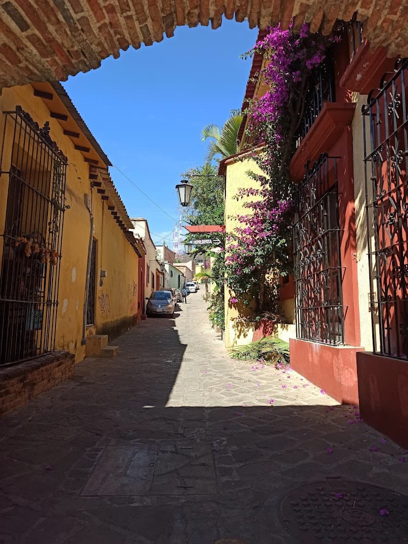 Barrio de Xochimilco Walk