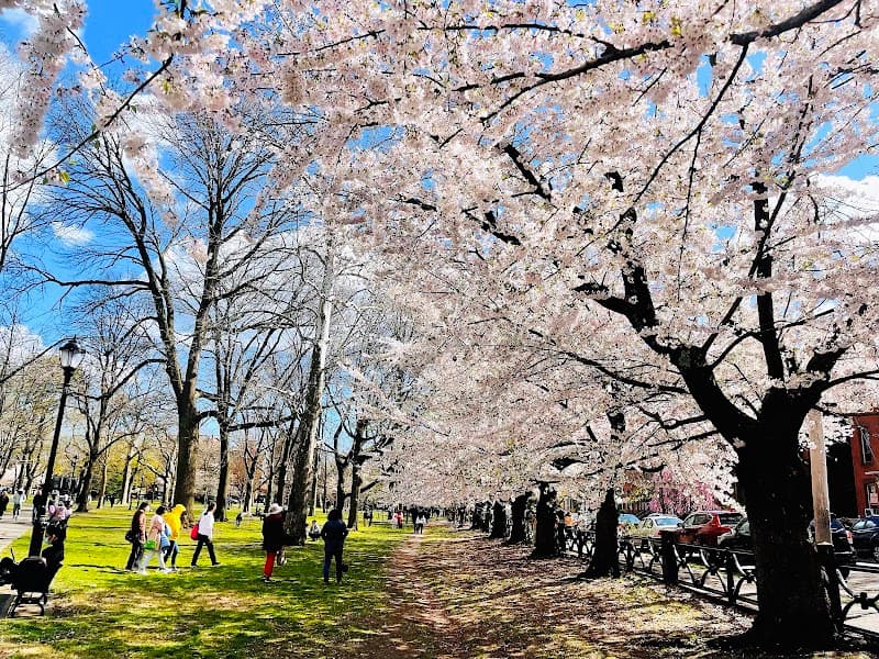 Wooster Square Park & Historic District Walk