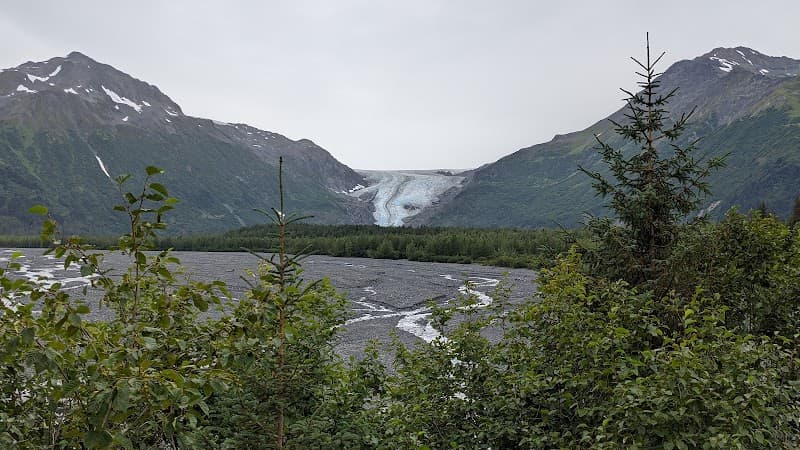 Exit Glacier Area