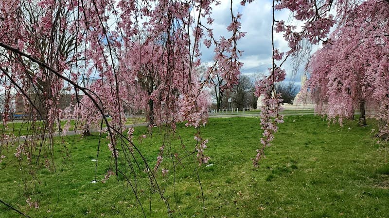 Fairmount Park (East Park Loop)