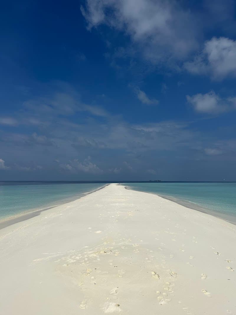 Farewell Sandbank Picnic