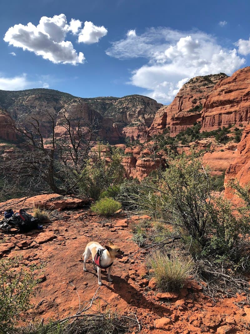 Fay Canyon Trail