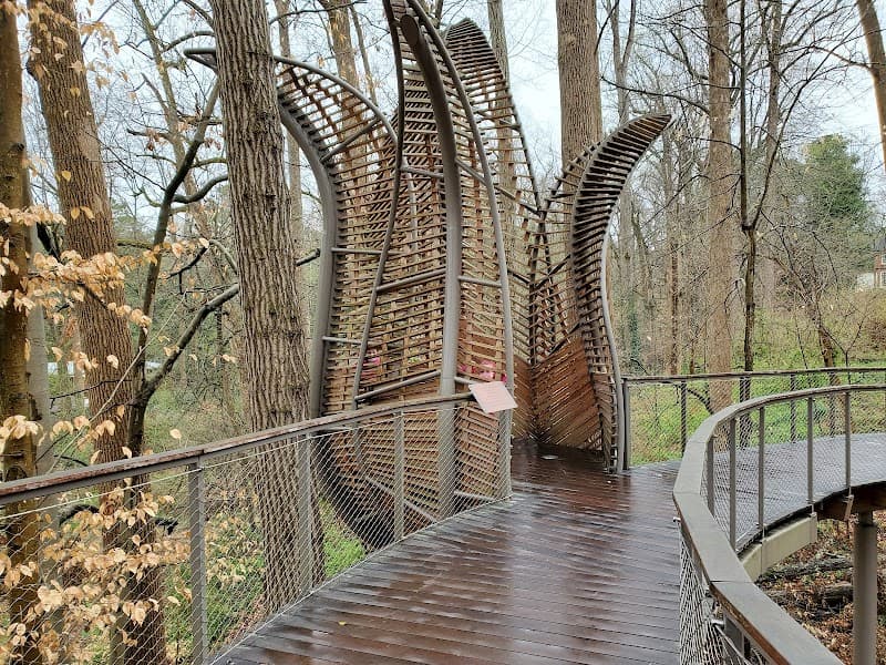 Fernbank Forest Trails