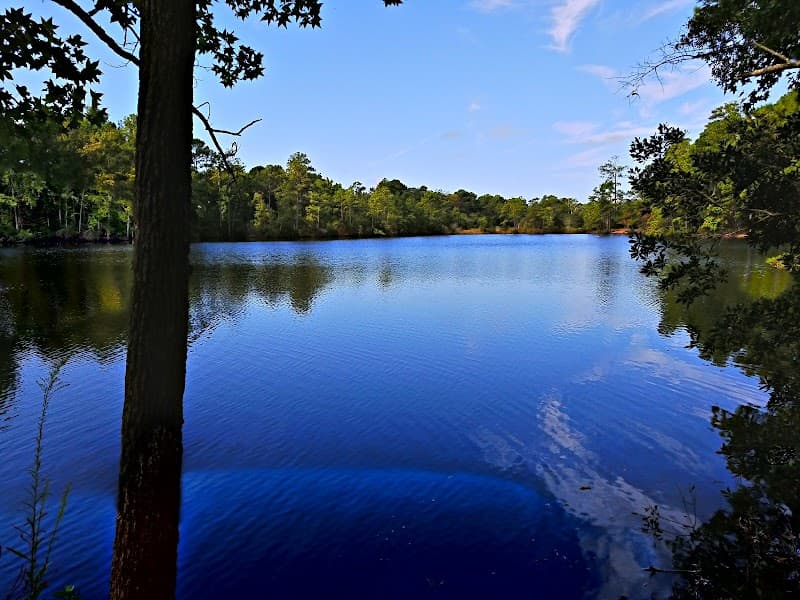 First Landing State Park - Cape Henry Trail