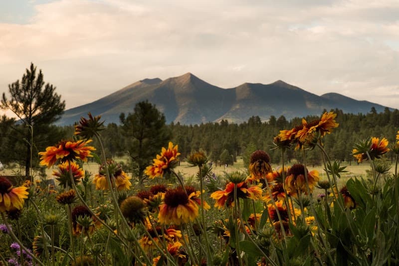 Flagstaff Arboretum