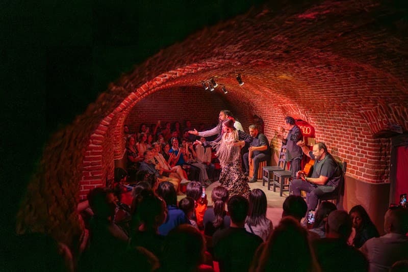 Flamenco Show Night