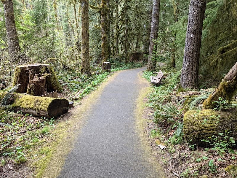 Forest Park - Wildwood Trail Hike