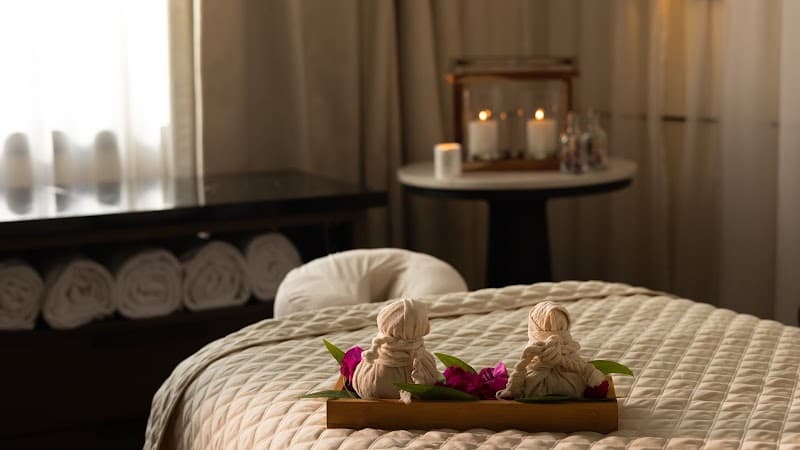Four Seasons Spa Couples Treatment