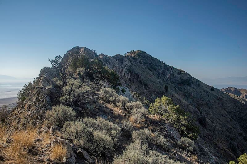 Frary Peak Trail