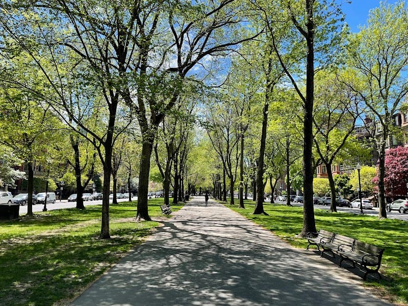 Free Explore: Back Bay Brownstones & Commonwealth Avenue Mall