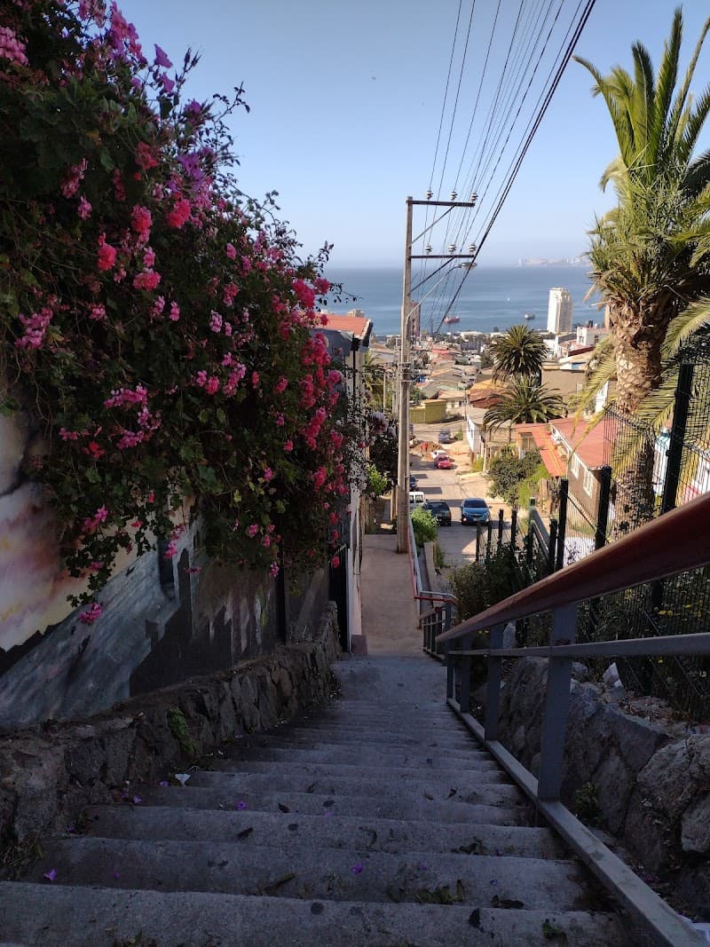 Free Explore: Cerro Florida & Surrounding Streets