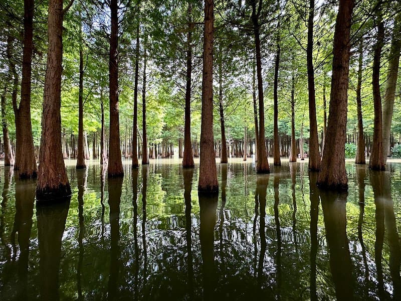 Free Explore: Haihong Wetland edges