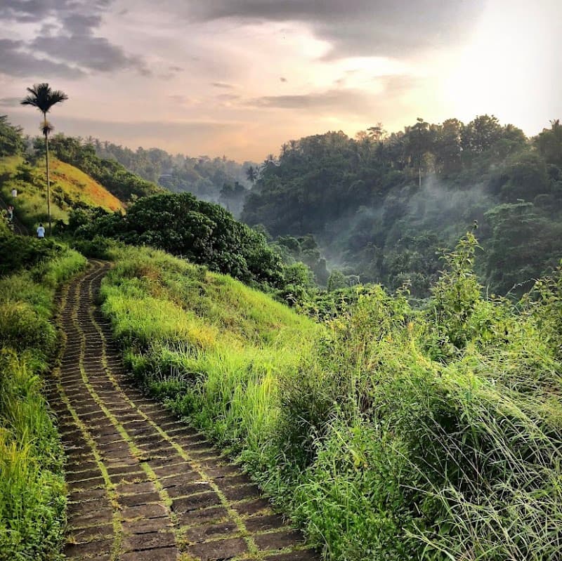 Free Explore Campuhan Ridge
