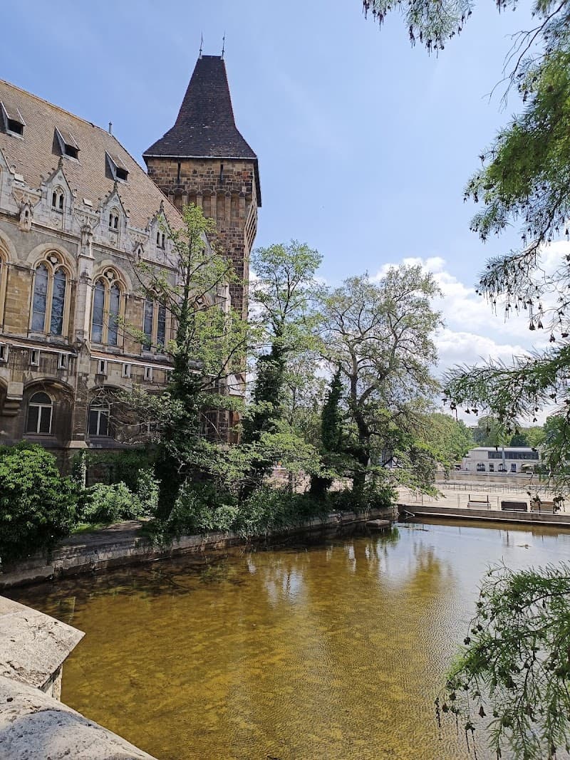 Free Explore City Park