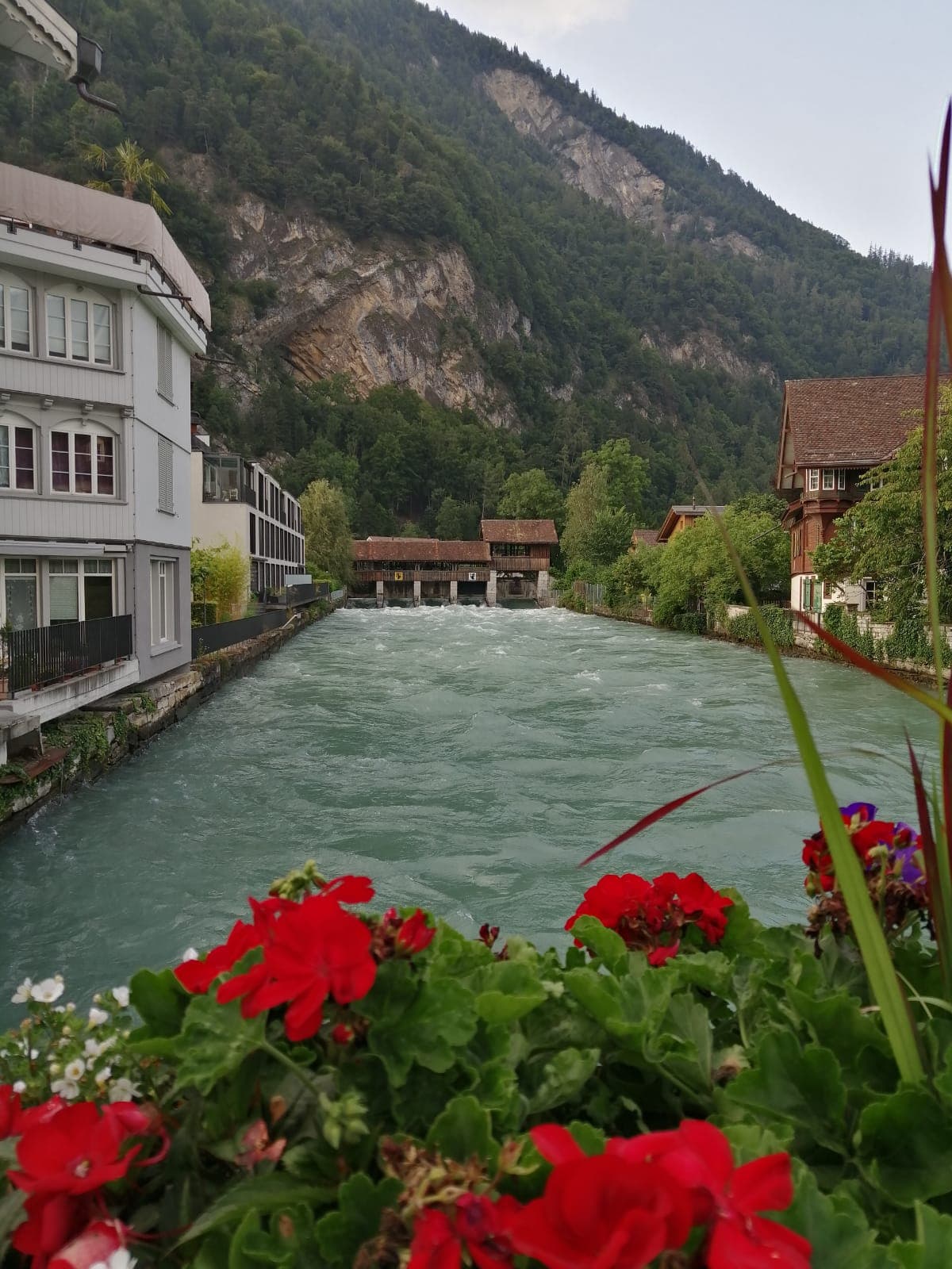 Free Explore Interlaken