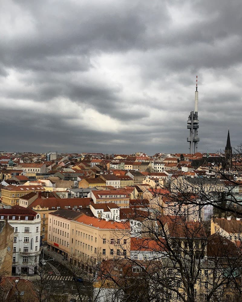 Free-Explore Time in Žižkov