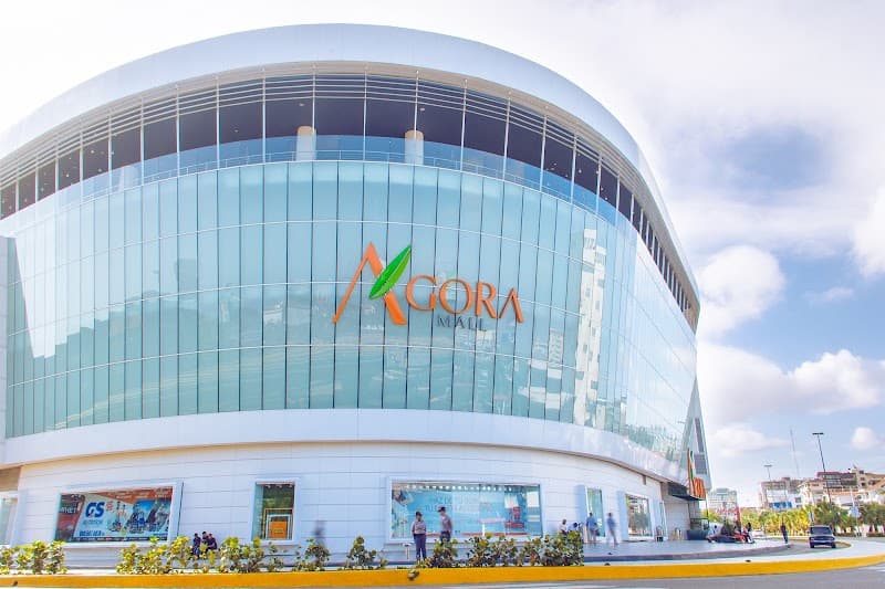 Free-Explore Time in Piantini & Ágora Mall Area
