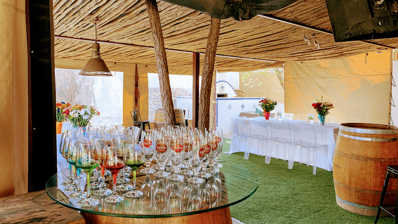 Wild Green Windhoek: A Romantic 7-Day Bush-City Escape