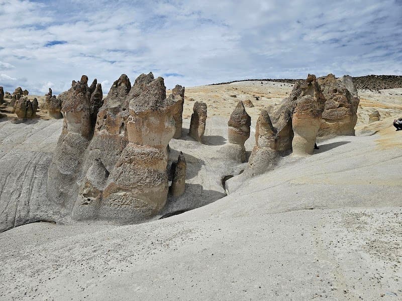 Full Day Tour to Salinas and Aguada Blanca National Reserve