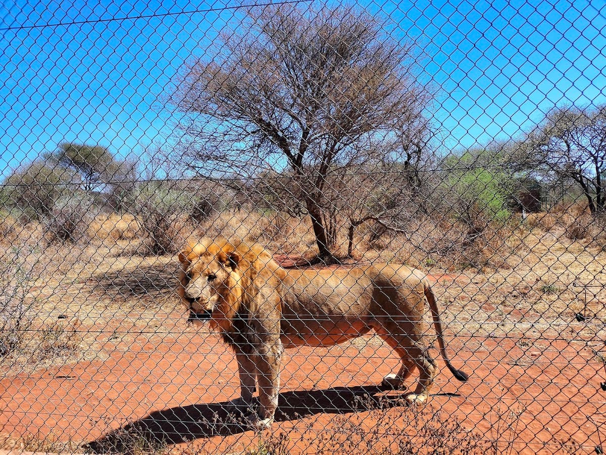 Gaborone Game Reserve
