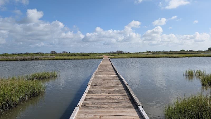 Galveston Island State Park (Beach Side)