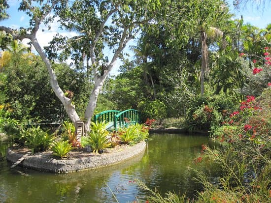 Garden of the Groves Jungle Walk