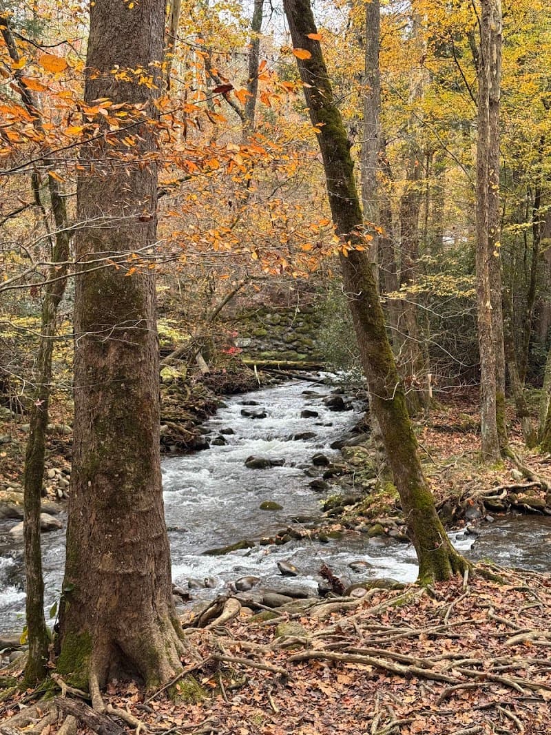 Gatlinburg Trail