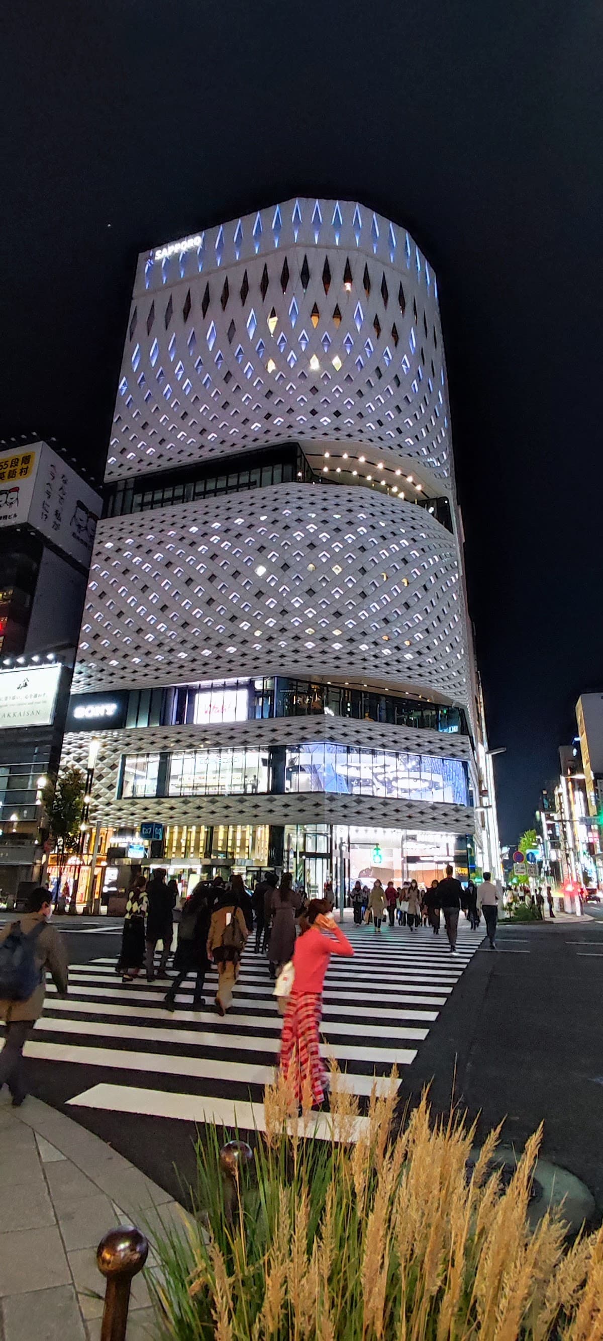 Ginza Shopping District