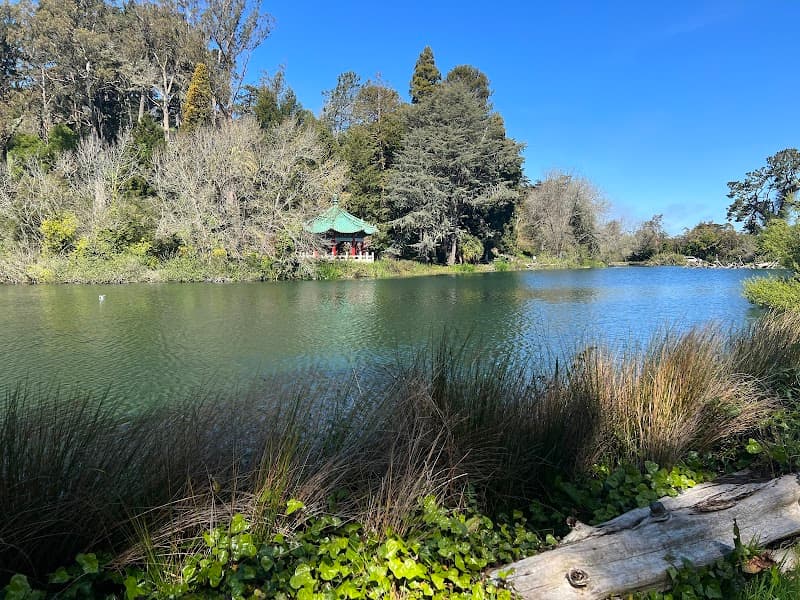Golden Gate Park (Stow Lake & Botanical Garden Area)