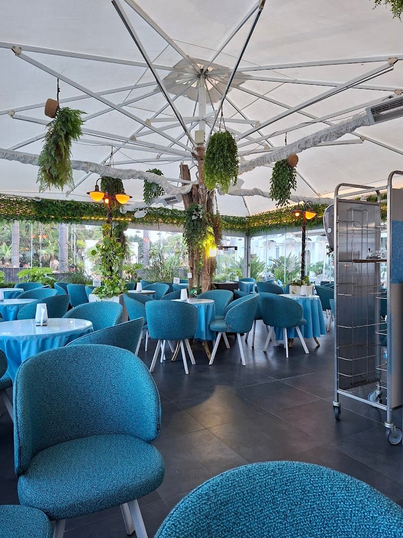 Green Island Romance: 7 Dreamy Days on Ischia