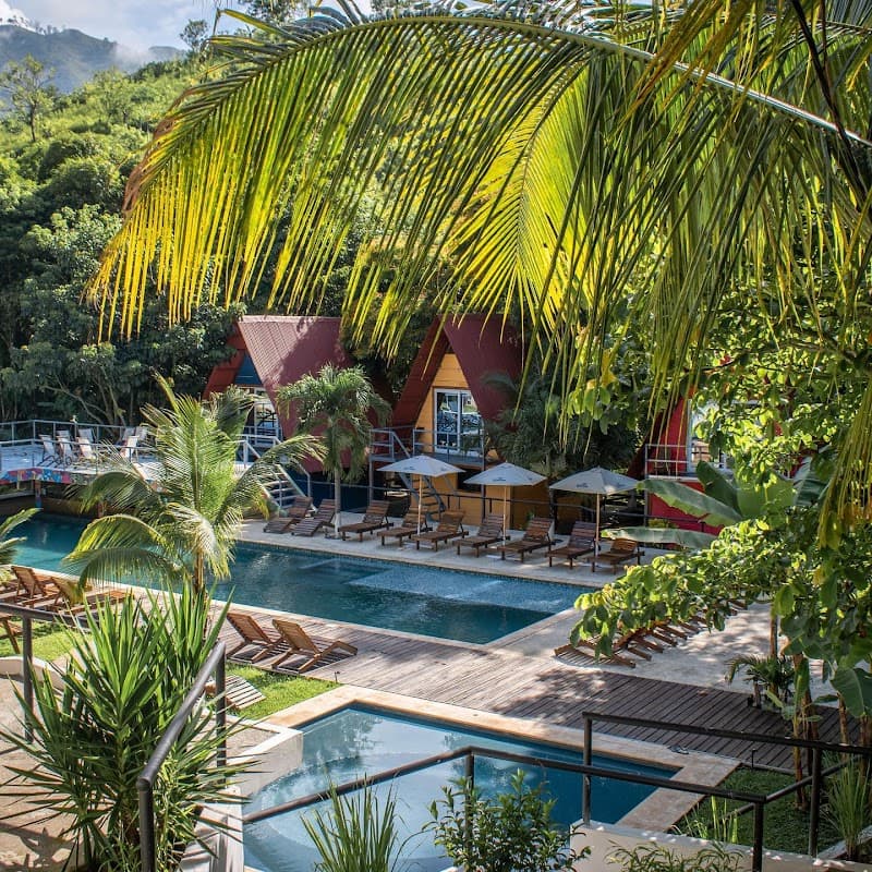 Greengo's Hostel Café