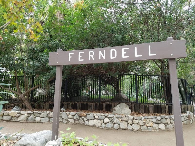 Griffith Park Fern Dell Trail