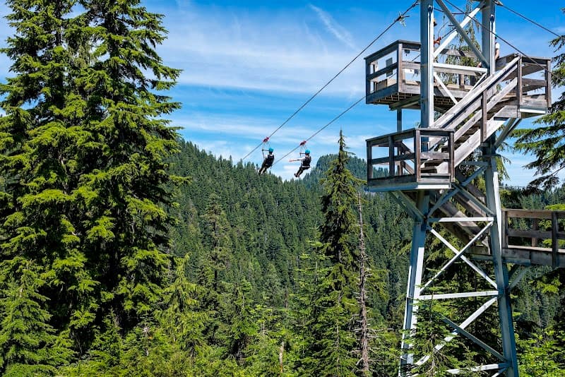 Grouse Mountain Skyride & Alpine Trails