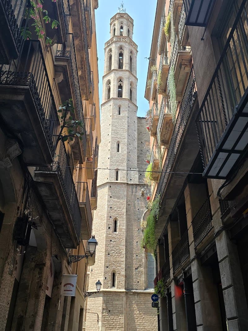 Guided Catalan Wine Tasting in El Born