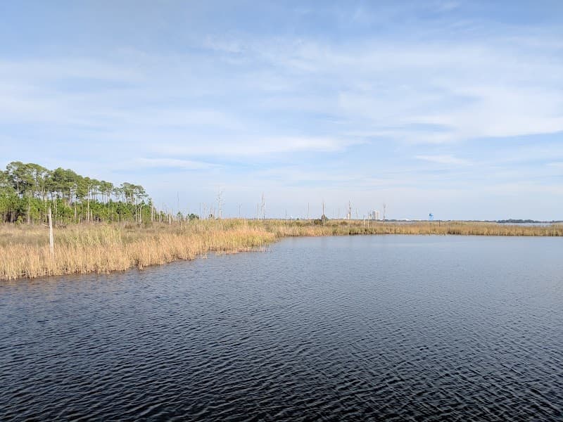 Gulf State Park Free Explore (Boardwalks & Lake Shelby)