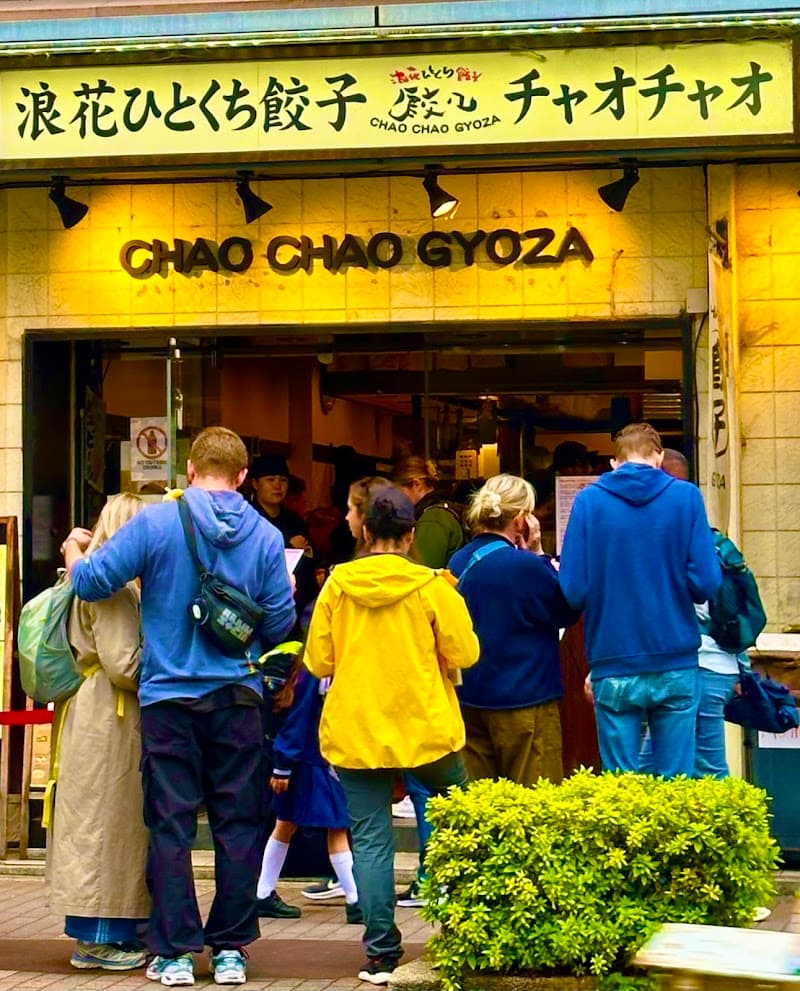 Gyoza Chao
