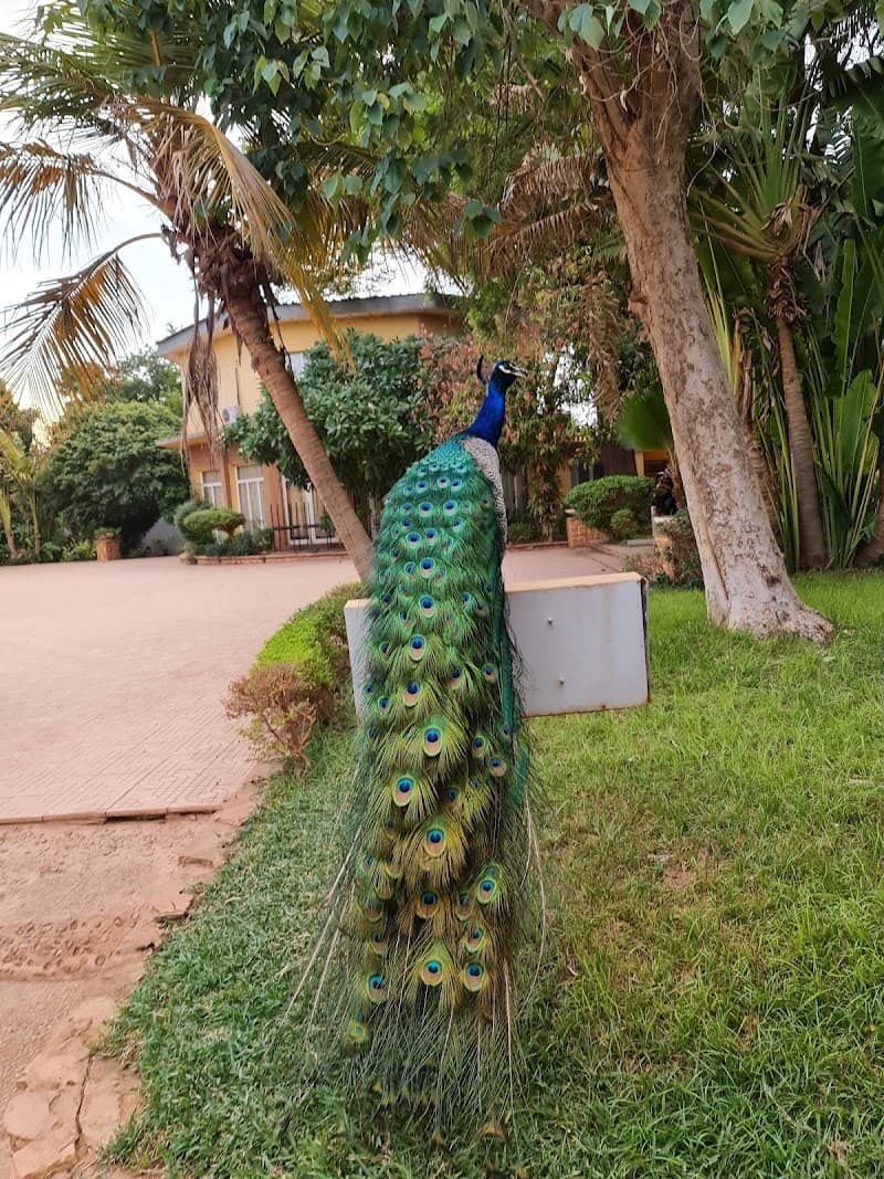 Hôtel Terminus Niamey
